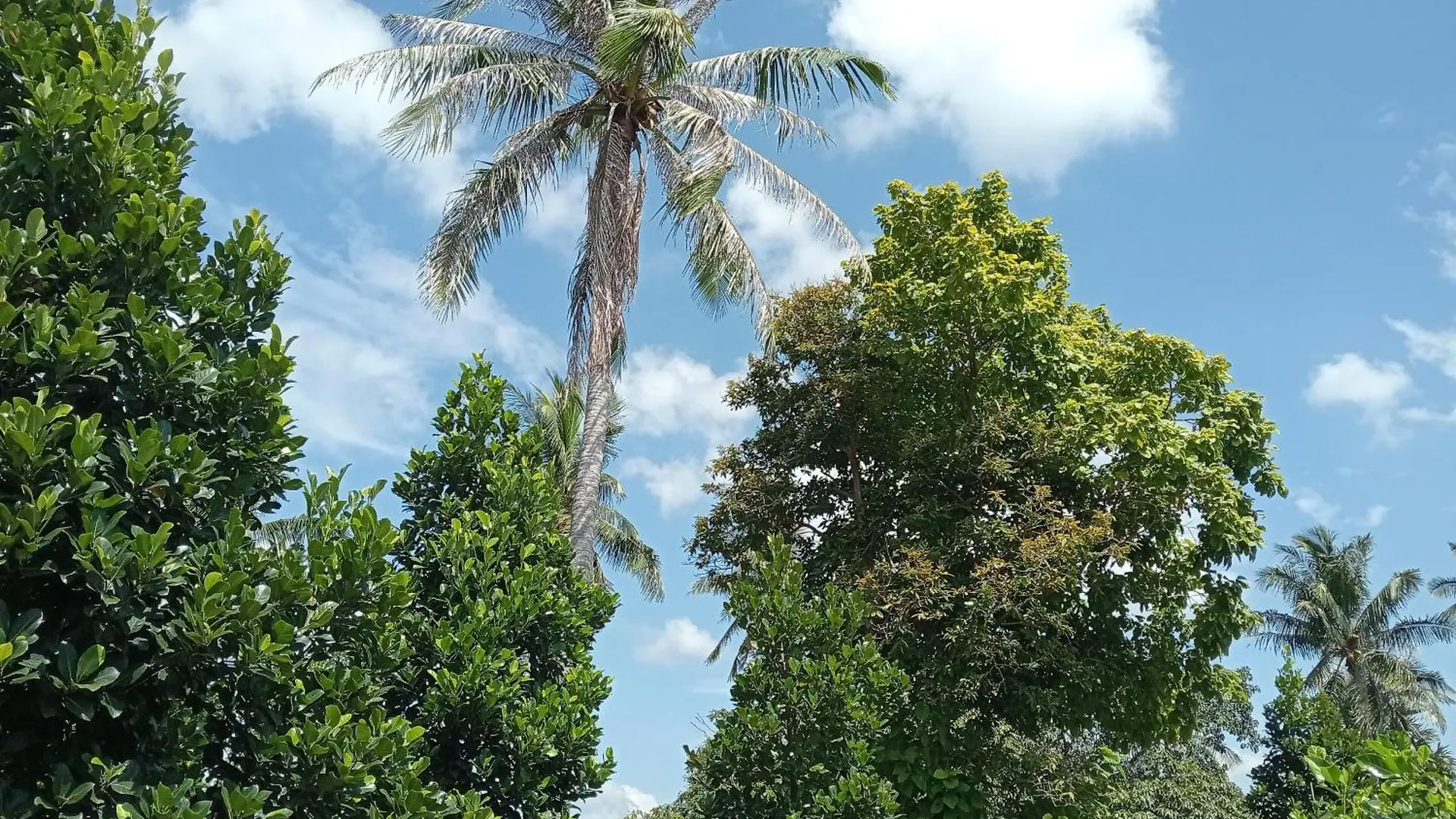 Lanta Beautiful Beach House Koh Lanta Thailand
