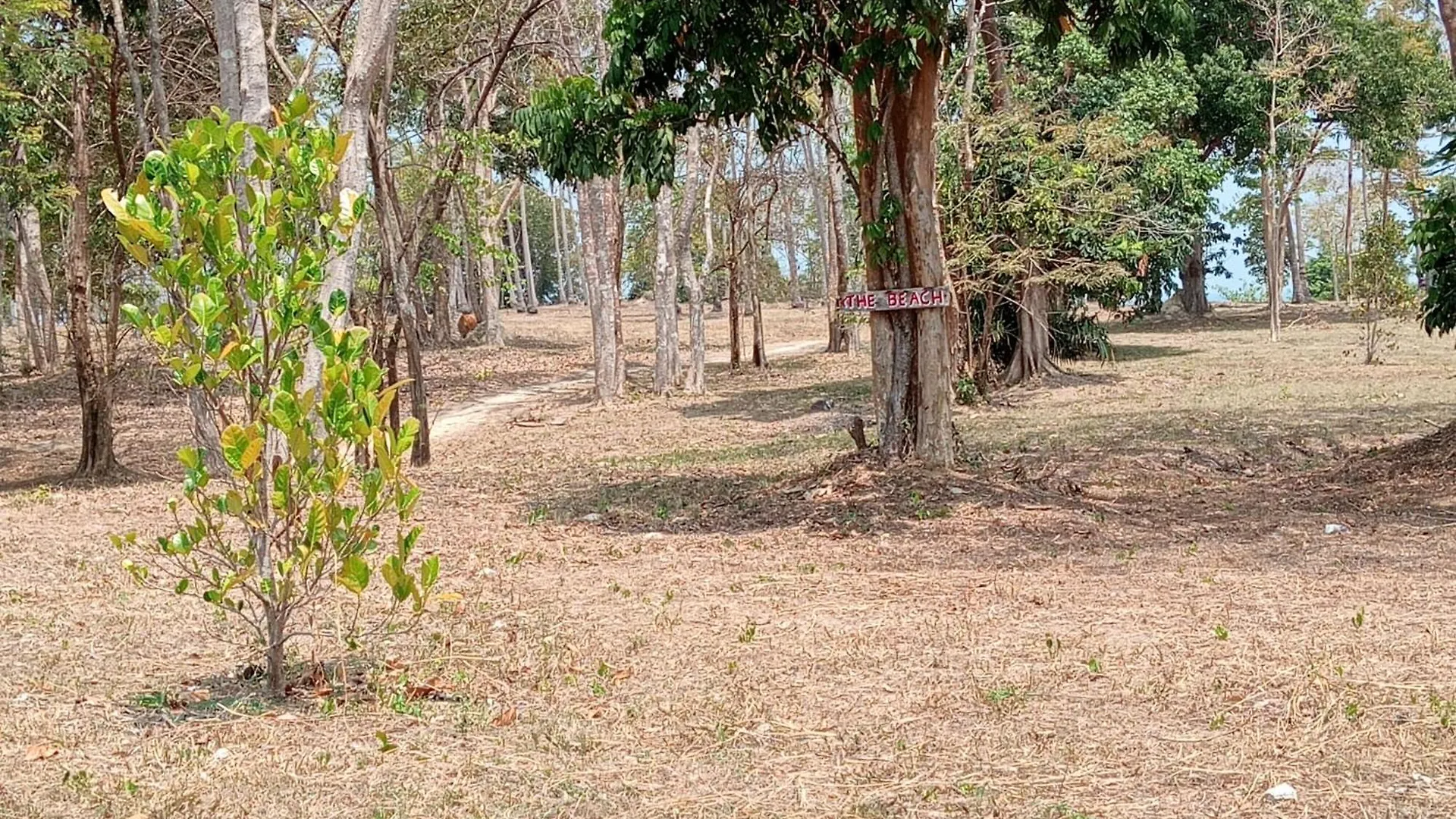 Lanta Beautiful Beach House Koh Lanta